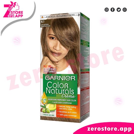 صورة غارنييه كولور ناتشورالز – 1-6 أشقر رمادي غامق