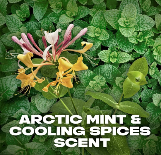 صورة أكس إسبراي للجسم مزيل للعرق ريتشارج برائحة النعناع والتوابل المنعشة 150 مل