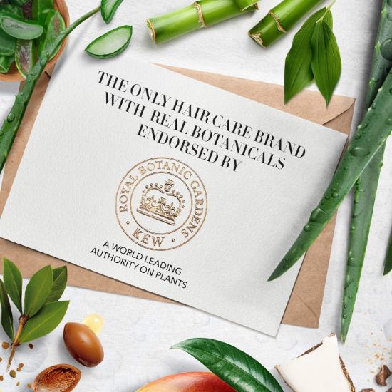 صورة  هيربل اسينسيز شامبو شعر بخلاصة الصبار الفعال والبامبو   400 مل  