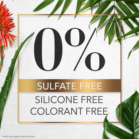 صورة  هيربل اسينسيز شامبو شعر بخلاصة الصبار الفعال والبامبو   400 مل  