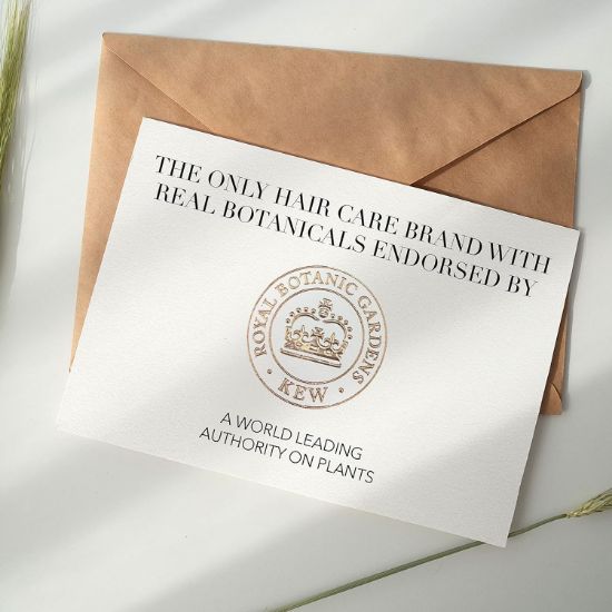 صورة  هيربل اسينسيز شامبو زيت  مورينجا الذهبى  400 مل 