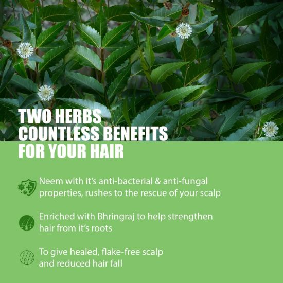 صورة شامبو كيش كينج العضوي بزيت النيم مع برينجراج | يزيل القشرة ويقلل تساقط الشعر | لشعر ناعم ولامع | عضوي | خالٍ من الألوان الصناعية والبارابين والفثالات والمواد الكيميائية الضارة، 300 مل