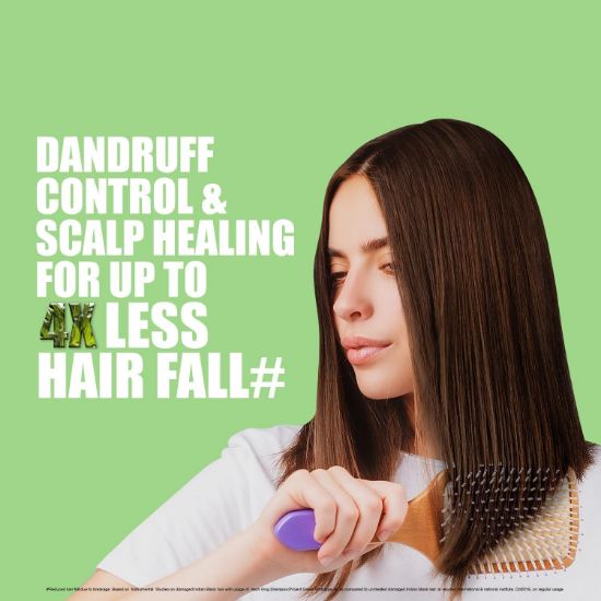 صورة شامبو كيش كينج العضوي بزيت النيم مع برينجراج | يزيل القشرة ويقلل تساقط الشعر | لشعر ناعم ولامع | عضوي | خالٍ من الألوان الصناعية والبارابين والفثالات والمواد الكيميائية الضارة، 300 مل